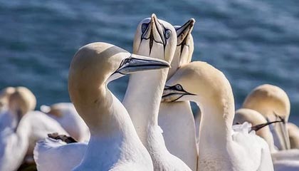 开yun官网-中超新秀争夺最佳新人奖，中超新秀合同