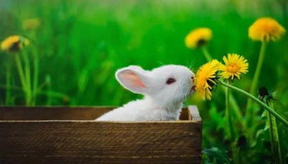 kaiyun网站-克罗地亚不敌对手,欧洲杯资格悬着,欧洲杯 克罗地亚