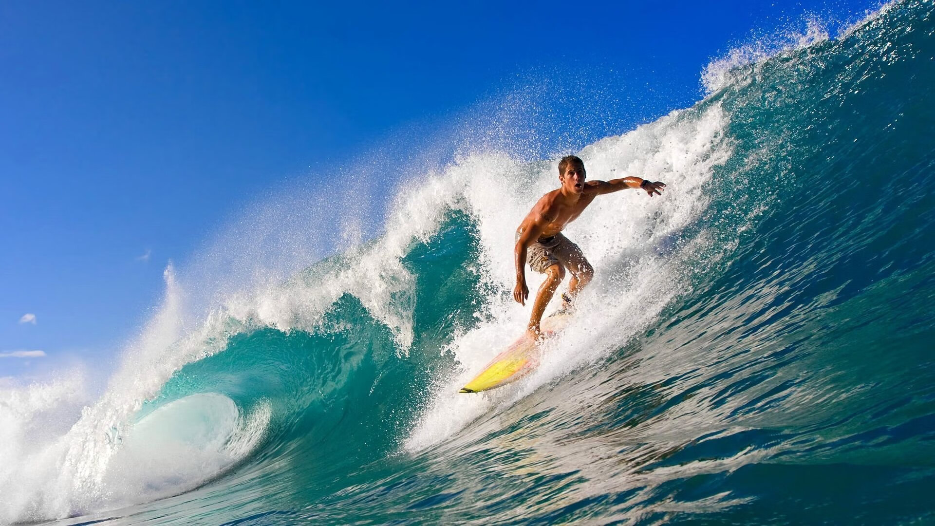 关键时刻的应急方案：技术人员的智慧，应急预案里的关键要素是指