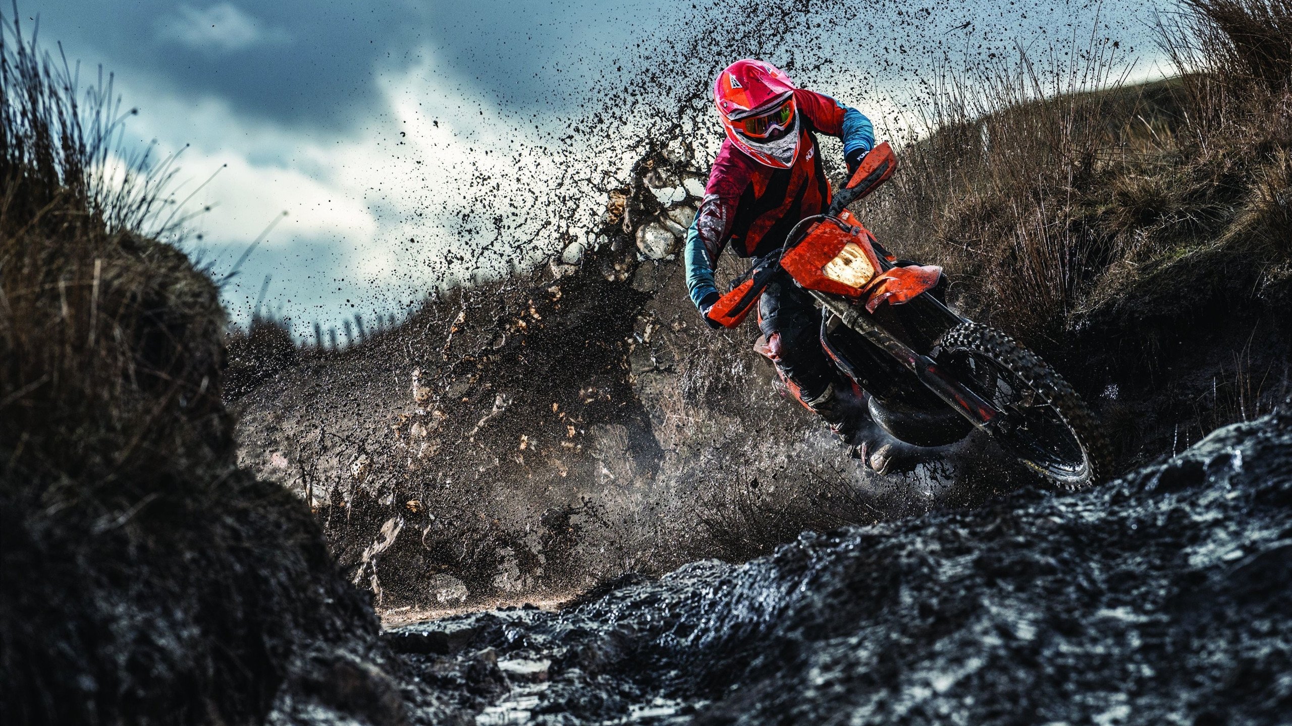 哥伦比亚女足在巴黎奥运会上展示了高水平的比赛状态，哥伦比亚 足球运动员